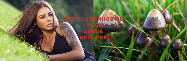 скорость Белокуриха