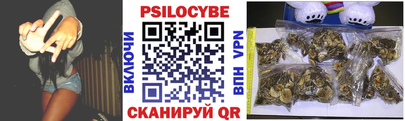 Псилоцибиновые грибы Magic Shrooms Купить Туапсе