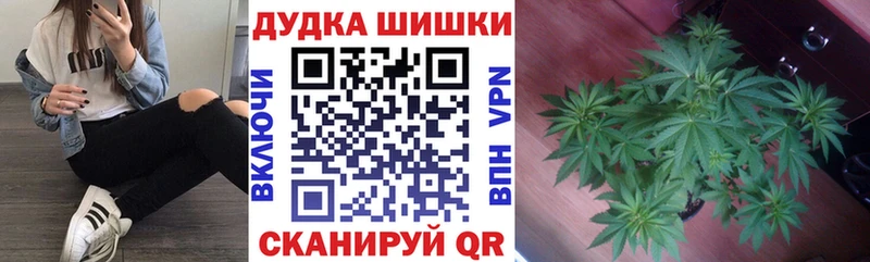 Конопля MAZAR Купить где Туапсе